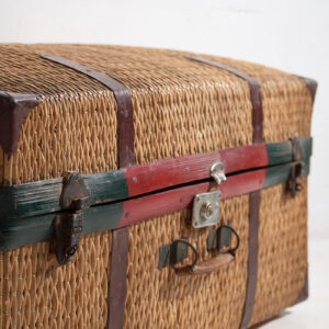 Imagen categoria NOVEDADES