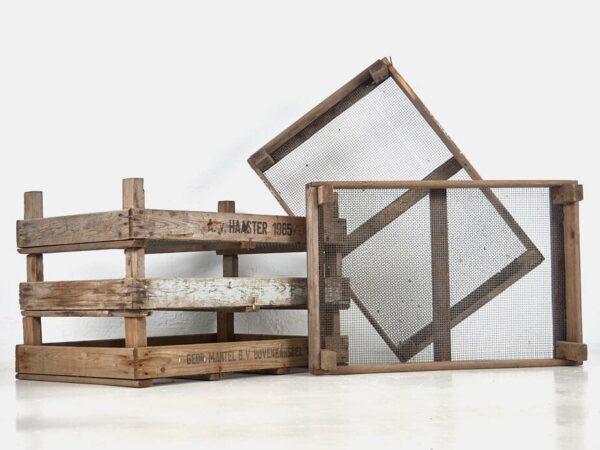 Boîte en bois pour bulbes de tulipes (vers 1980)