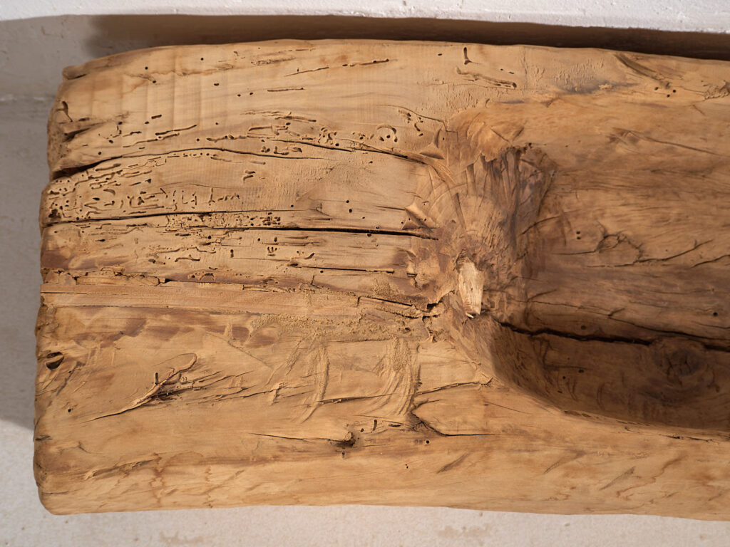 Bandeja grande antigua de estilo primitivo (c.1900) #1