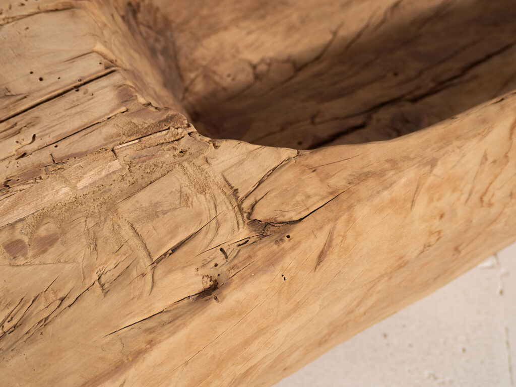 Bandeja grande antigua de estilo primitivo (c.1900) #1