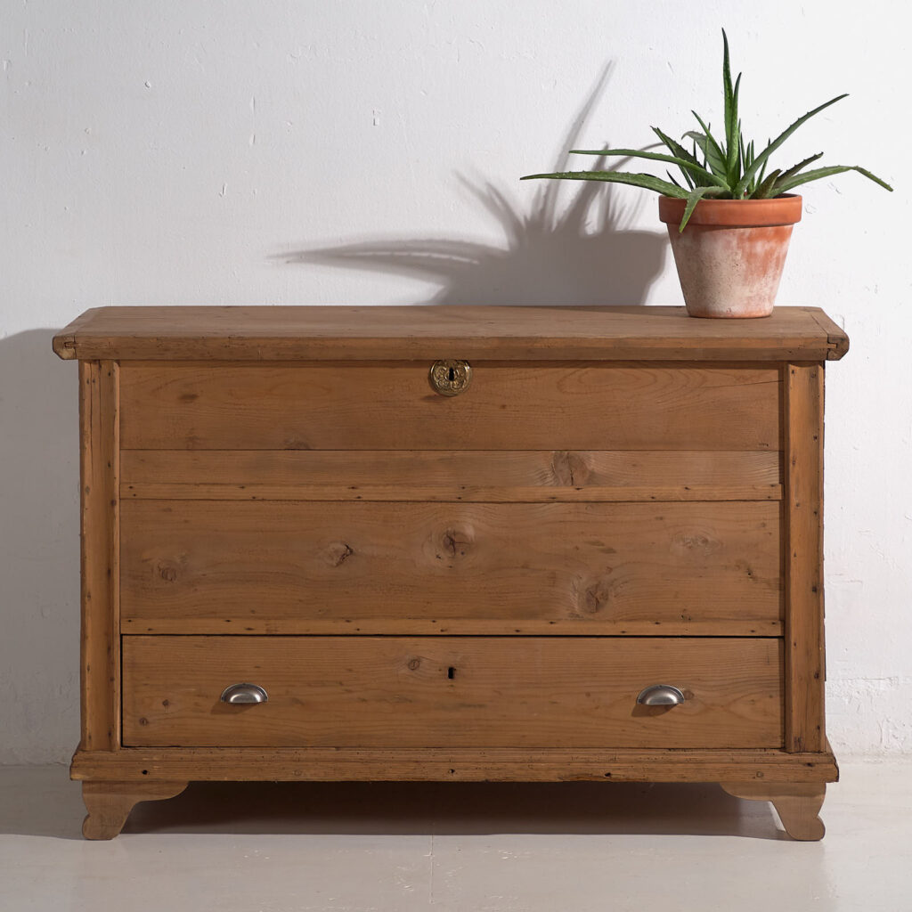 Arcón grande antiguo (c.1920) #91