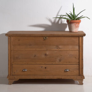 Arcón grande antiguo (c.1920) #91