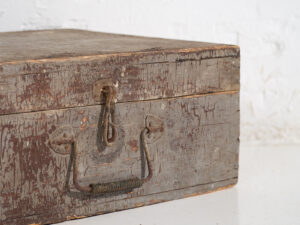 Estuche antiguo con pátina de color gris (c.1920) #76