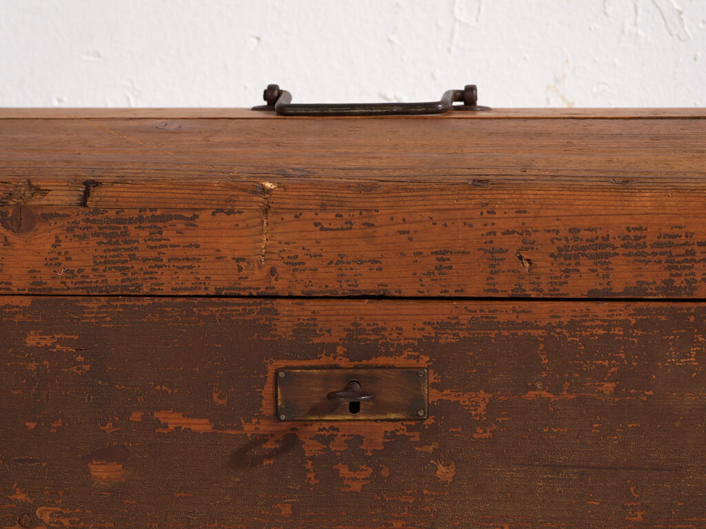 Coffre ancien à patine foncée (c.1900) #3