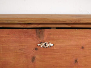 Antique solid wood chest of drawers (c.1920) #79