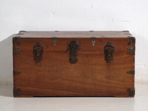 Arcón japonés antiguo de camphorwood - Periodo Meiji (c.1890-1912) #76