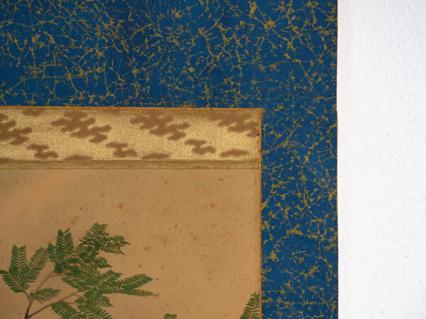 Kakejiku antiguo de ave rapaz en color sobre papel – Japón, circa 1900