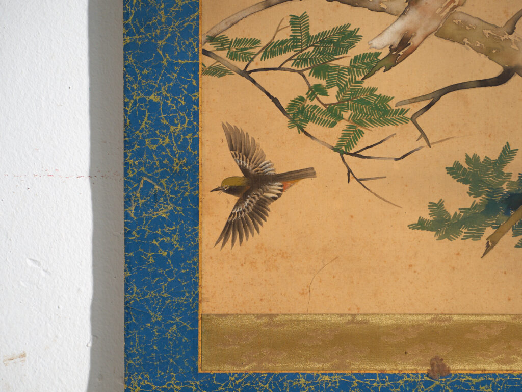 Kakejiku antiguo de ave rapaz en color sobre papel – Japón, circa 1900